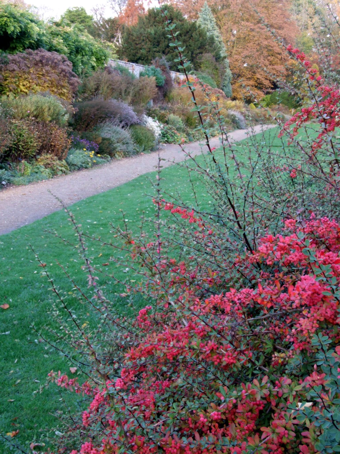 Waterperry Gardens, Wheatley, Oxfordshire, OX33 1JZ National Garden